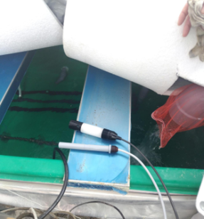 センサーの様子