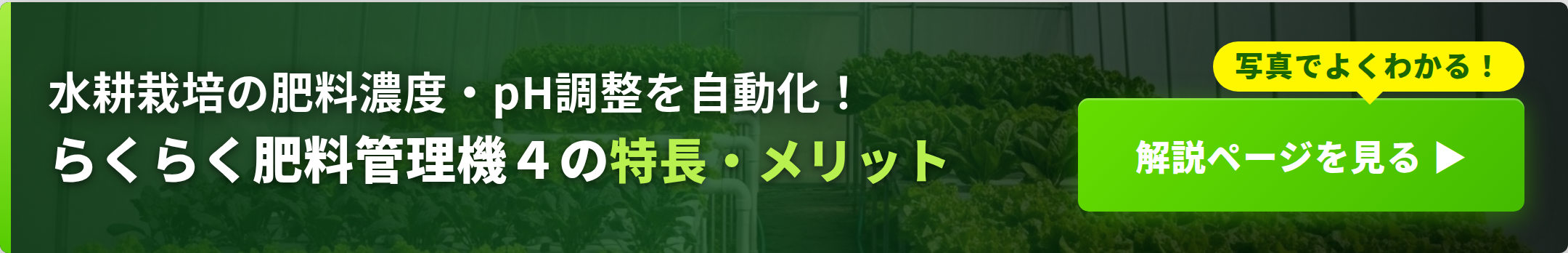 らくらく菜園